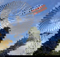 Bearded Dragon Hotel - Pubs Melbourne