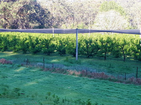 Martins Orchard - Pubs Melbourne 2