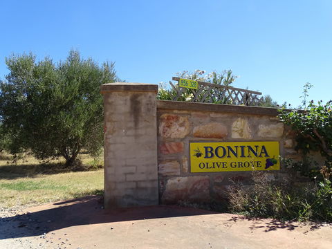 Bonina Olive Grove - Pubs Melbourne 1
