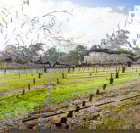 Long Point Vineyard and Art Gallery - Pubs Melbourne