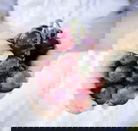 Granitevale Winery - Pubs Melbourne