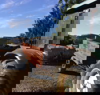 Massena - Pubs Melbourne