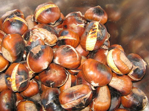 Tweenhills Chestnuts - Pubs Melbourne 0