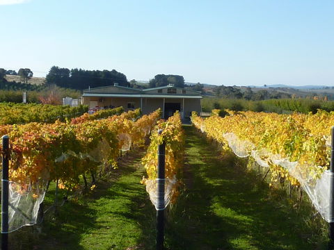 Dindima Wines - Pubs Melbourne 2