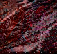 Urban Tadka - Pubs Melbourne