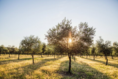 Guneemooroo Estate - Pubs Melbourne 0