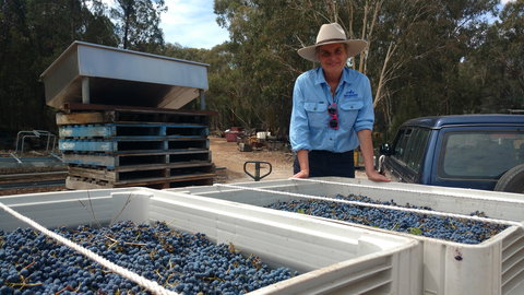 Guneemooroo Estate - Pubs Melbourne 1