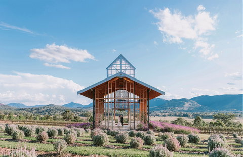 Kooroomba Vineyard And Lavender Farm - Pubs Melbourne 0
