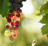 Raleigh Winery - Pubs Melbourne