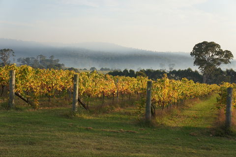 Rusty Fig Wines - Pubs Melbourne 1