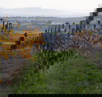 Barwon Ridge Wines - Pubs Melbourne