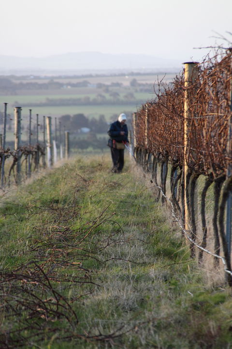 Barwon Ridge Wines - Pubs Melbourne 2