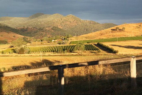 Optimiste Wines - Pubs Melbourne 0