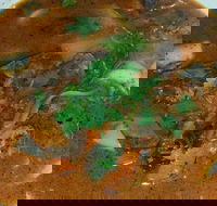 Yarra Valley Fish  Chips - Pubs Melbourne