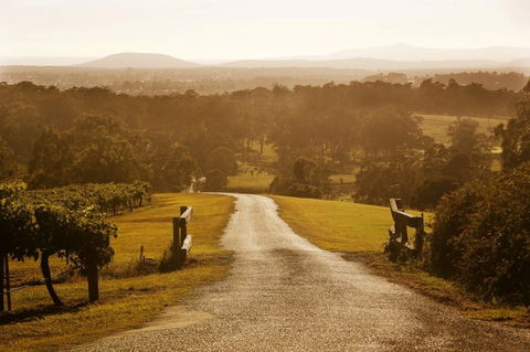 Petersons Wines - Pubs Melbourne 0