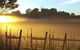 Nicholson River Winery And Barrel Room Restaurant - thumb 1
