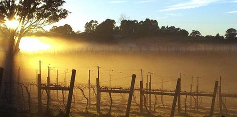 Nicholson River Winery And Barrel Room Restaurant - Pubs Melbourne 1