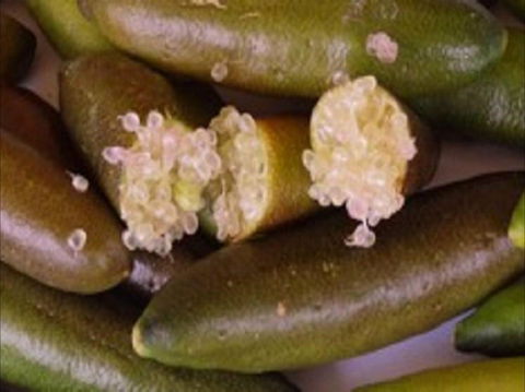 Sandy Creek Olives And Finger Limes - Pubs Melbourne 0