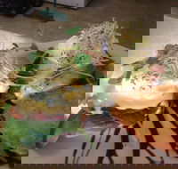 Cafe in the Mountains - Pubs Melbourne