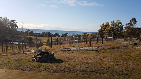 Overtime Vineyard - Pubs Melbourne 0