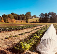 Synchronicity Farm - Pubs Melbourne