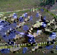 Hillbilly Coffee - Pubs Melbourne