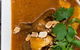 Quo Vadis Restaurant And Pizza Parlour - thumb 4
