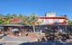 The Tree Restaurant - thumb 0