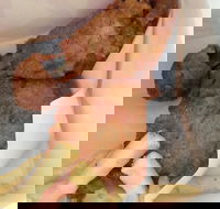 KFC - Pubs Melbourne