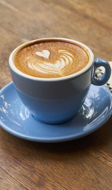The Fernery Bistro - Pubs Melbourne 4