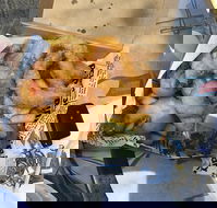 Chef's Catch - Pubs Melbourne