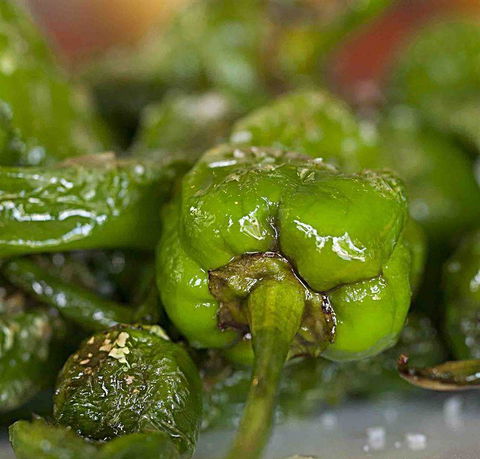 Palate - Pubs Melbourne 7