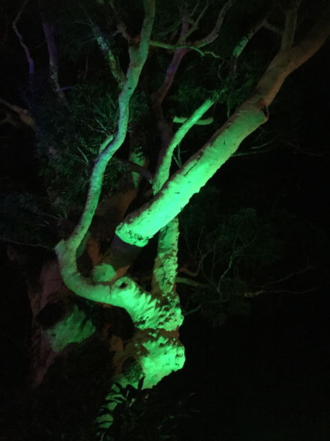 Chapel Farm - Pubs Melbourne 5