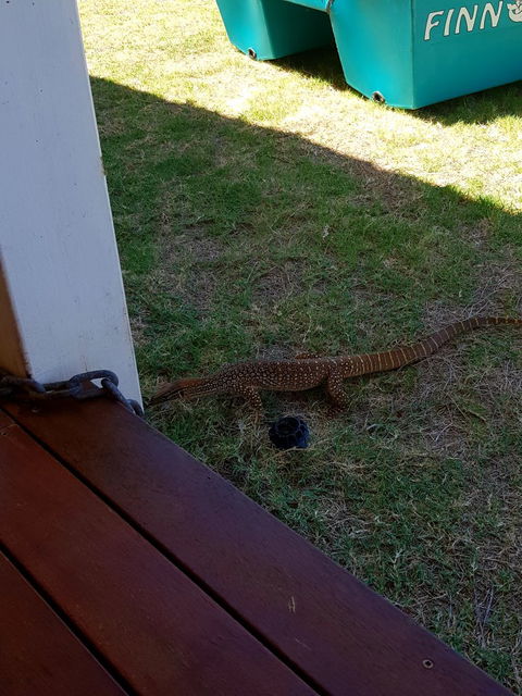 Sunsets Cafe At One Mile Jetty - Pubs Melbourne 11