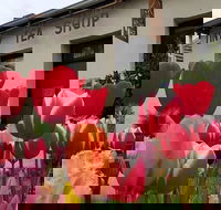 Tiny Tea Shop - Pubs Melbourne