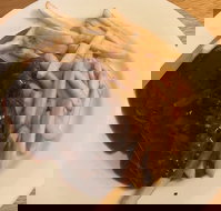 Mount Pleasant Hotel Motel - Pubs Melbourne