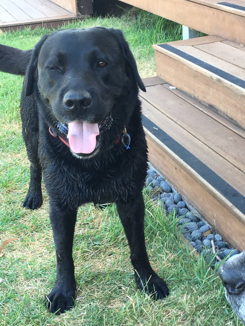 The Overflow Estate 1895 Cellar Door - Pubs Melbourne 2