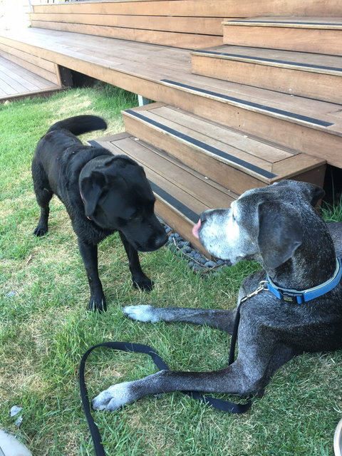 The Overflow Estate 1895 Cellar Door - Pubs Melbourne 3