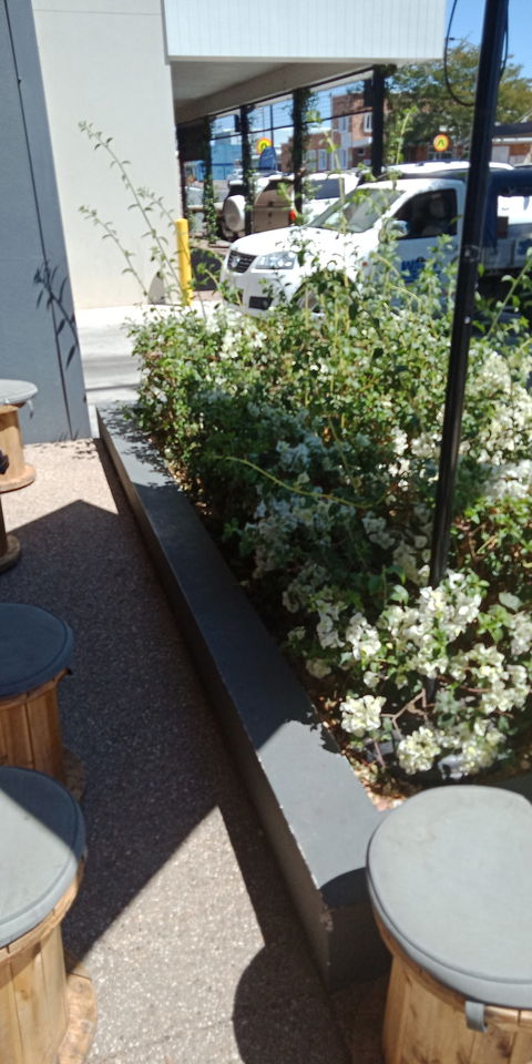 The Tasting Co - Pubs Melbourne 2