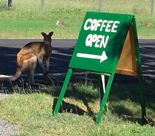 Tropical North Queensland QLD Pubs Melbourne