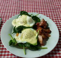 The Shed Cafe - Pubs Melbourne