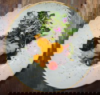 The Daily Harvest - Pubs Melbourne