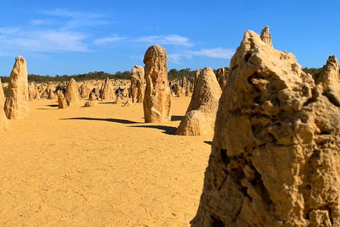 Pinnacles Desert (Private) Day Tour - Pubs Melbourne 0