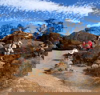 The Big Wave Rock Private Day Tour - Pubs Melbourne