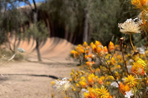The Big Wave Rock (Private) Day Tour - Pubs Melbourne 3