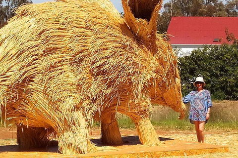 The Big Wave Rock (Private) Day Tour - Pubs Melbourne 5
