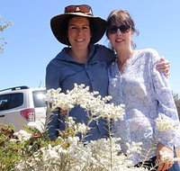 Spring Wildflower Private Day Tours - Pubs Melbourne