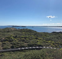 Penguin Island And Fremantle - Canoe Chocolate  Coffee - Pubs Melbourne