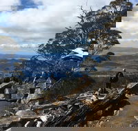 kunanyi / Mt Wellington Explorer Bus - 2 Hour Return Tour - Pubs Melbourne