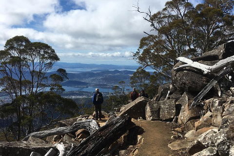 Kunanyi / Mt Wellington Explorer Bus - 2 Hour Return Tour - Pubs Melbourne 0